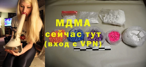 стаф Алзамай