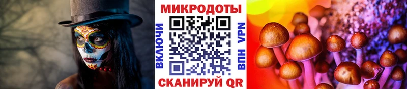 наркота  Зеленокумск  Галлюциногенные грибы прущие грибы 